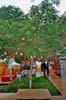 peacecamp-07_badenfahrt2_09