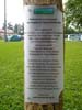 peacecamp-08_aufbau-spreitenbach_89