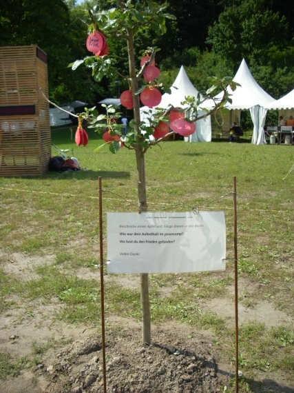 peacecamp-08_spreitenbach-2_01