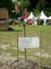 peacecamp-08_spreitenbach-2_04