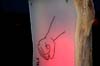 peacecamp-08_spreitenbach_24