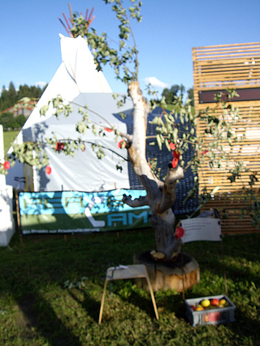peacecamp-09_conveniat_01