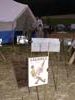 2005_peacecamp_freaktal_37