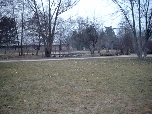 SIMG1717